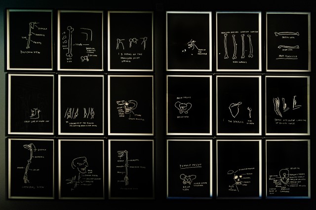 Jean-Michel Basquiat, Anatomy, 1982 @ MUDEC - foto di Carlotta Coppo